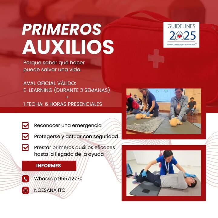 Curso Pri Aux 2026 temas